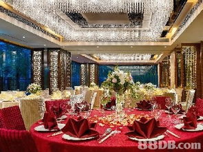 机票代订与婚礼筹备的完美结合 如何高效整合资源与达人团队